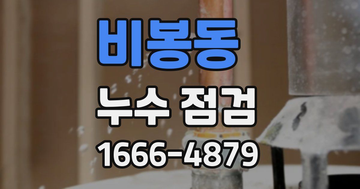 비봉동 누수 점검