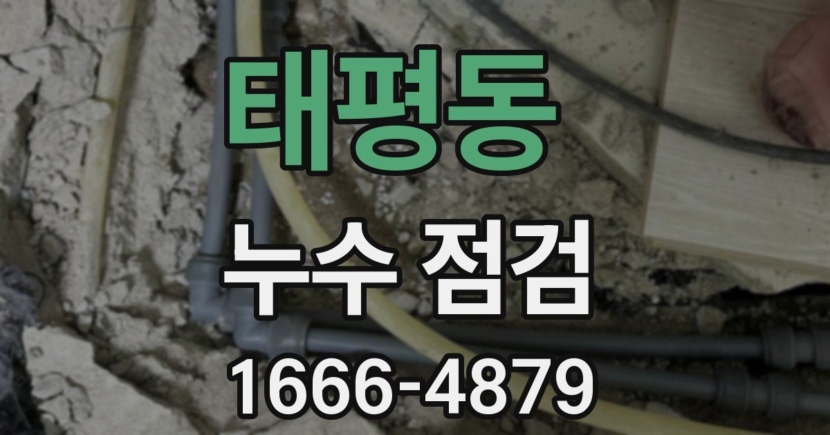태평동 누수 점검