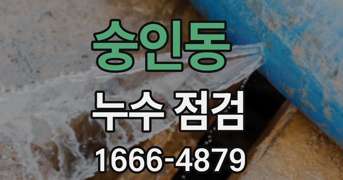 숭인동 누수 점검