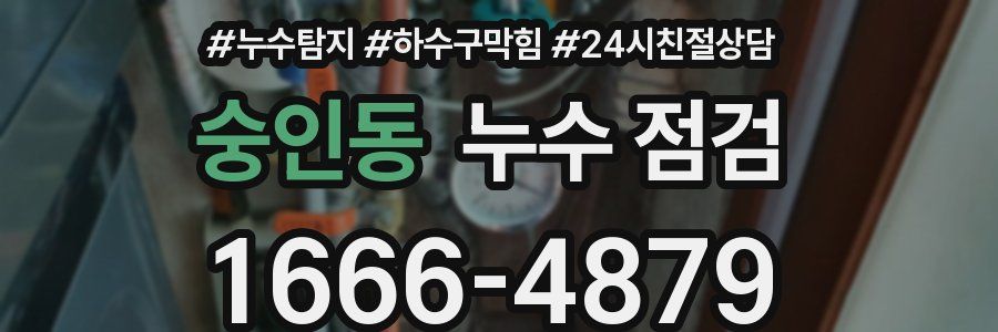 숭인동 누수 점검