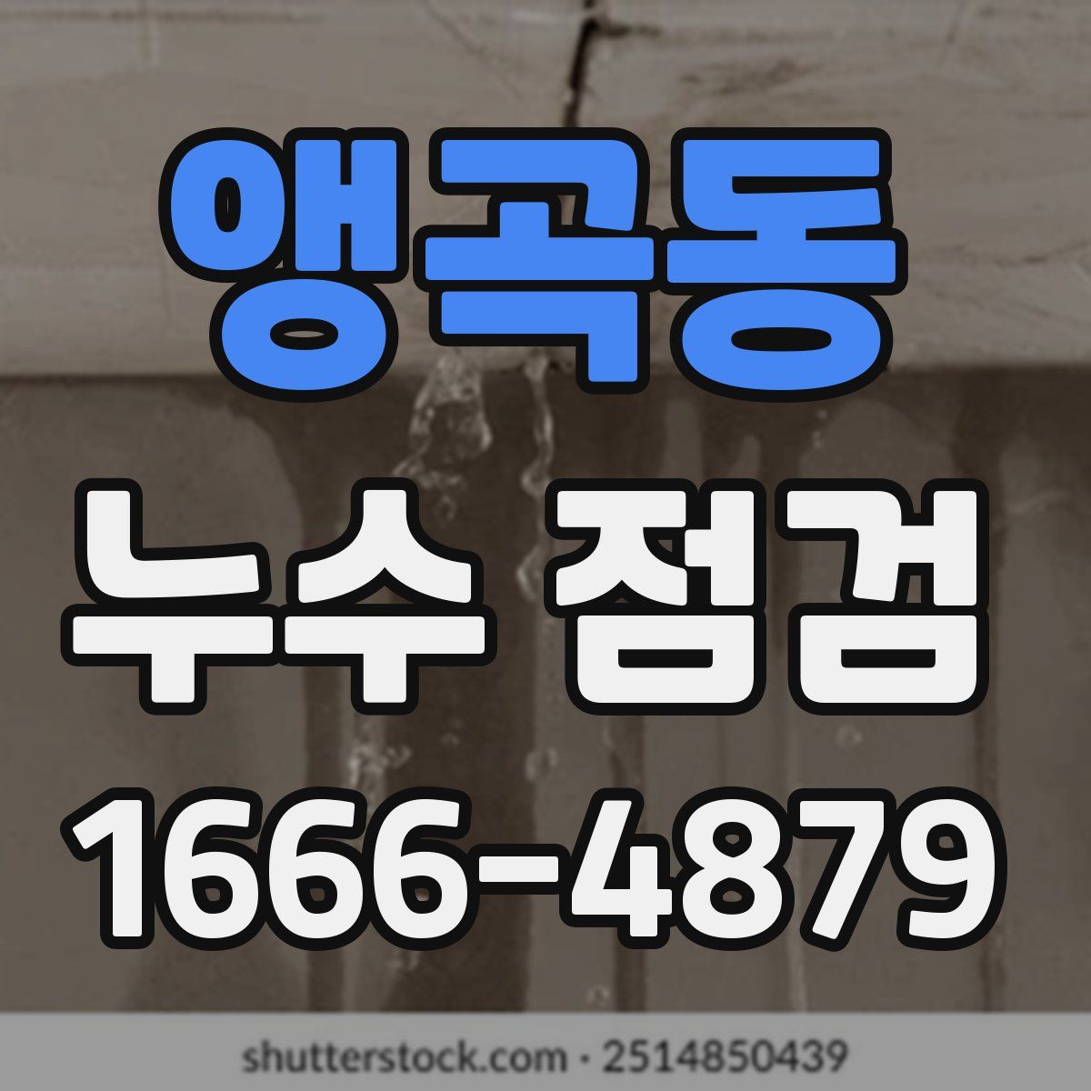 앵곡동 누수 점검
