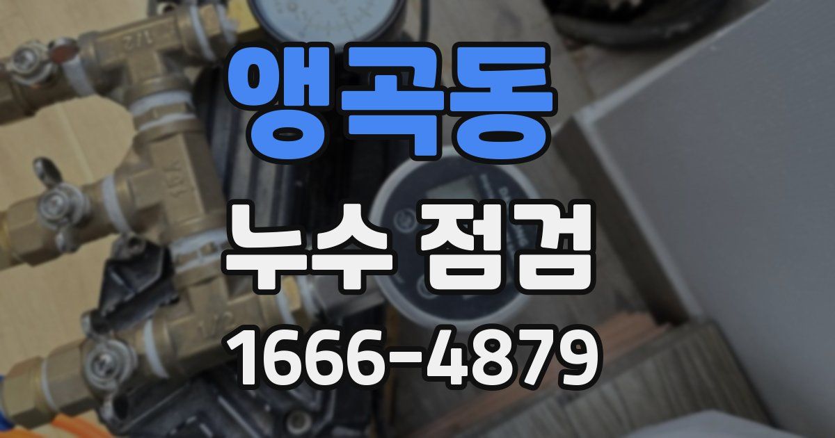 앵곡동 누수 점검
