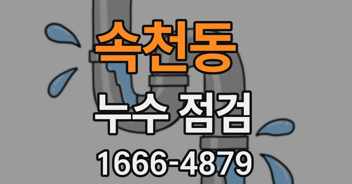 속천동 누수 점검