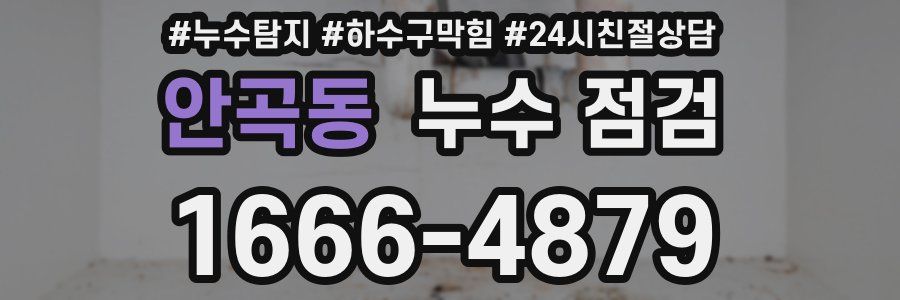 안곡동 누수 점검