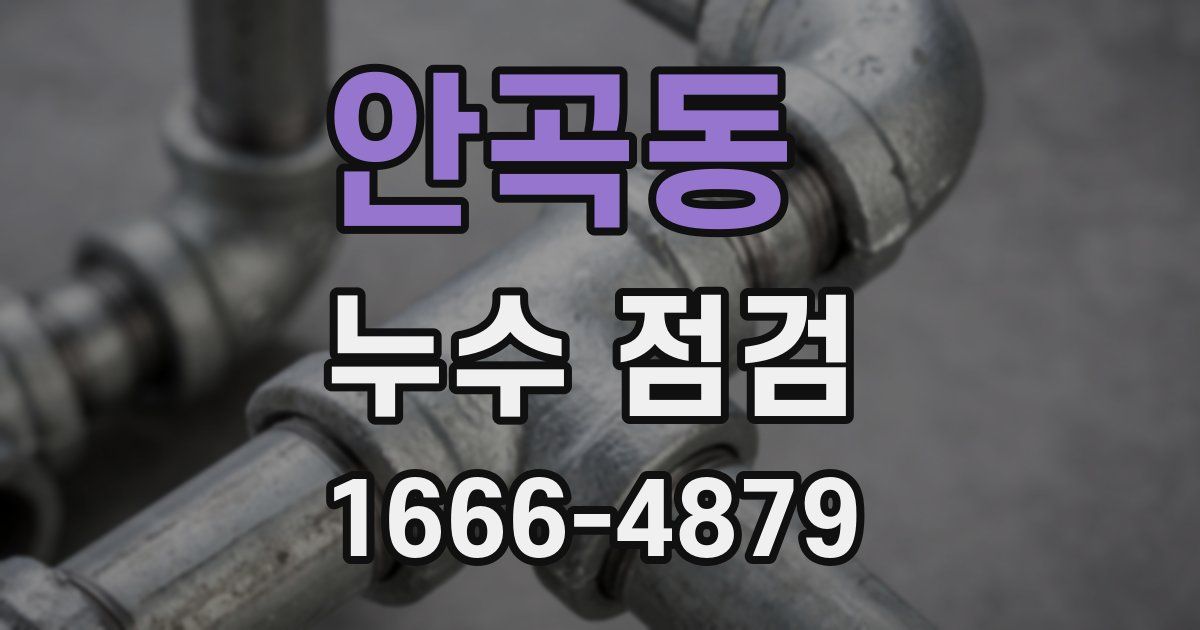 안곡동 누수 점검