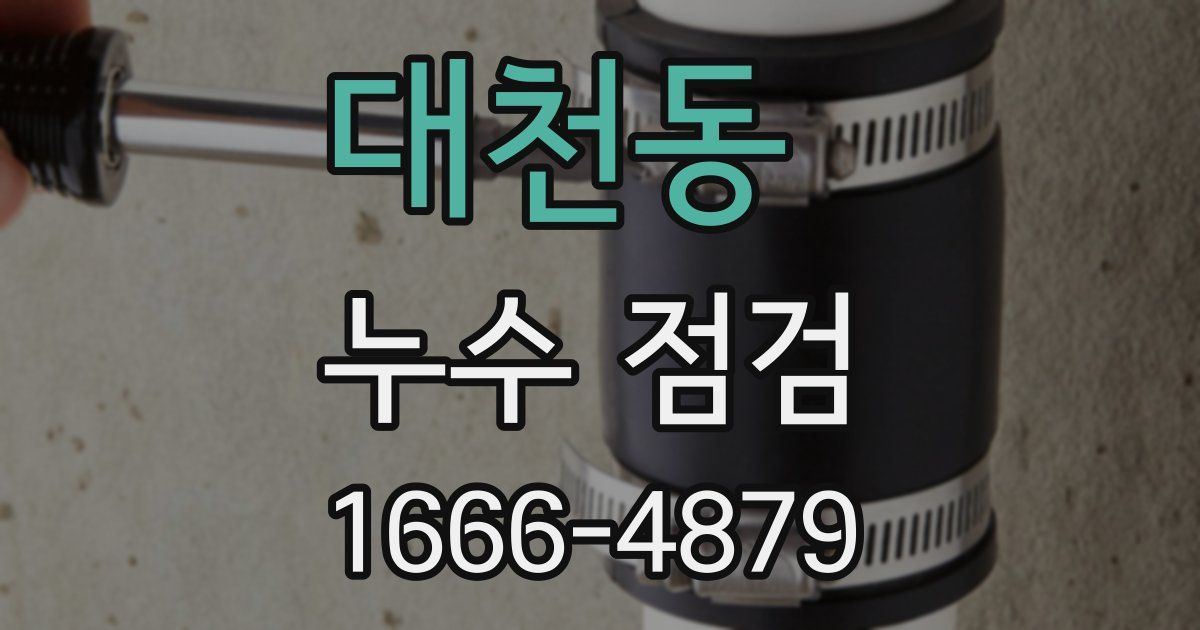 대천동 누수 점검