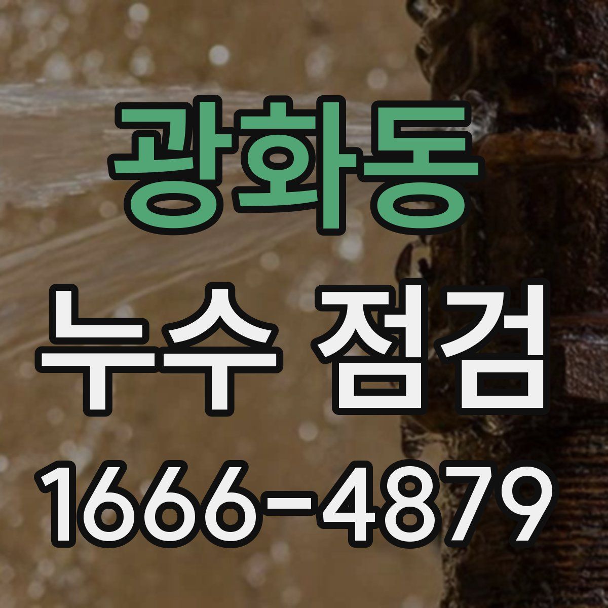 광화동 누수 점검