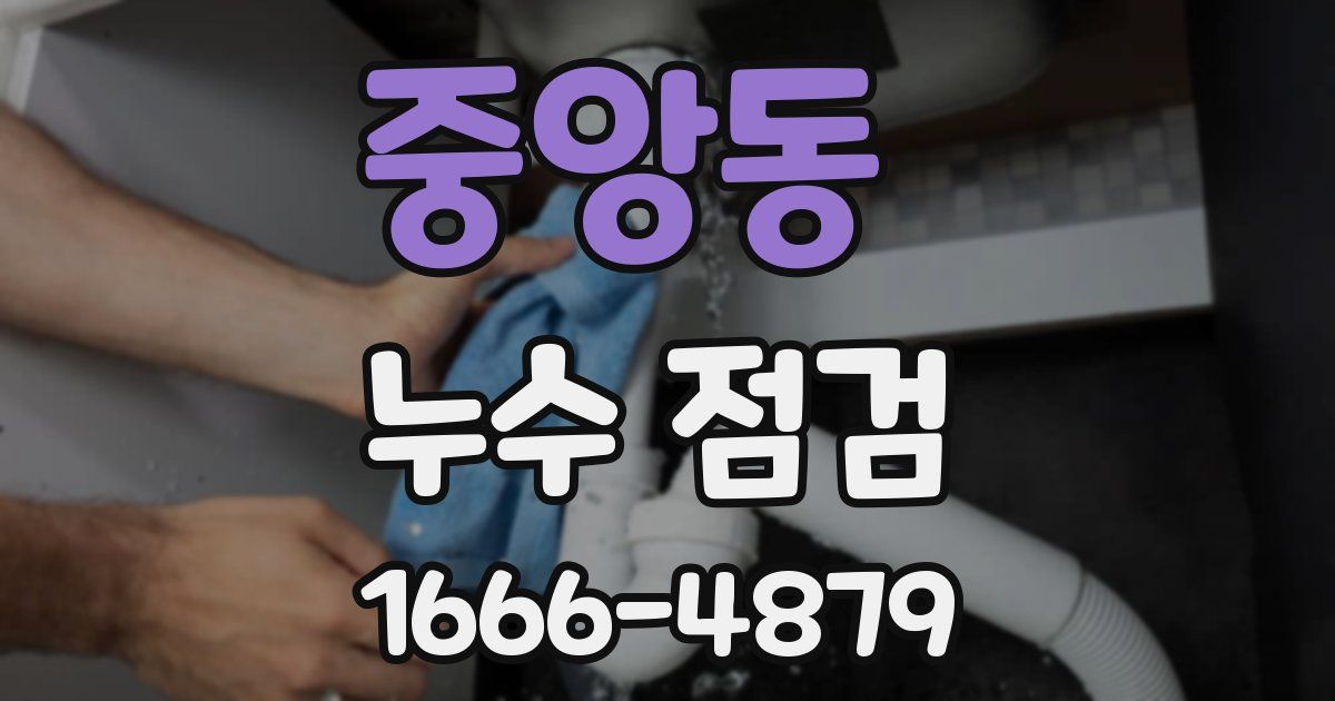 중앙동 누수 점검