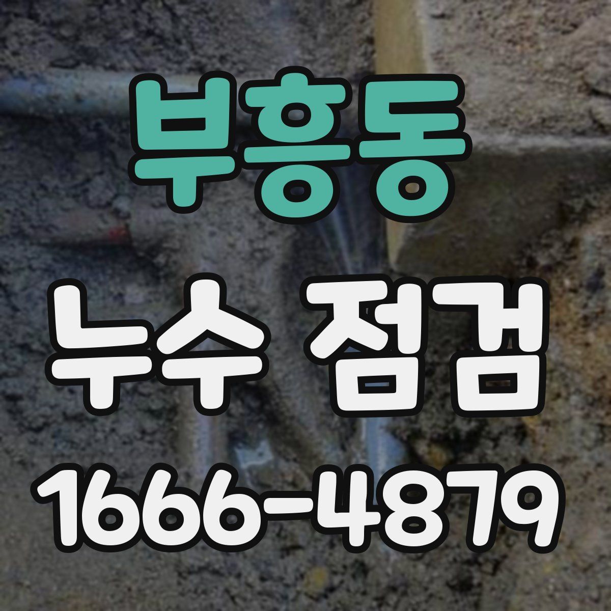 부흥동 누수 점검
