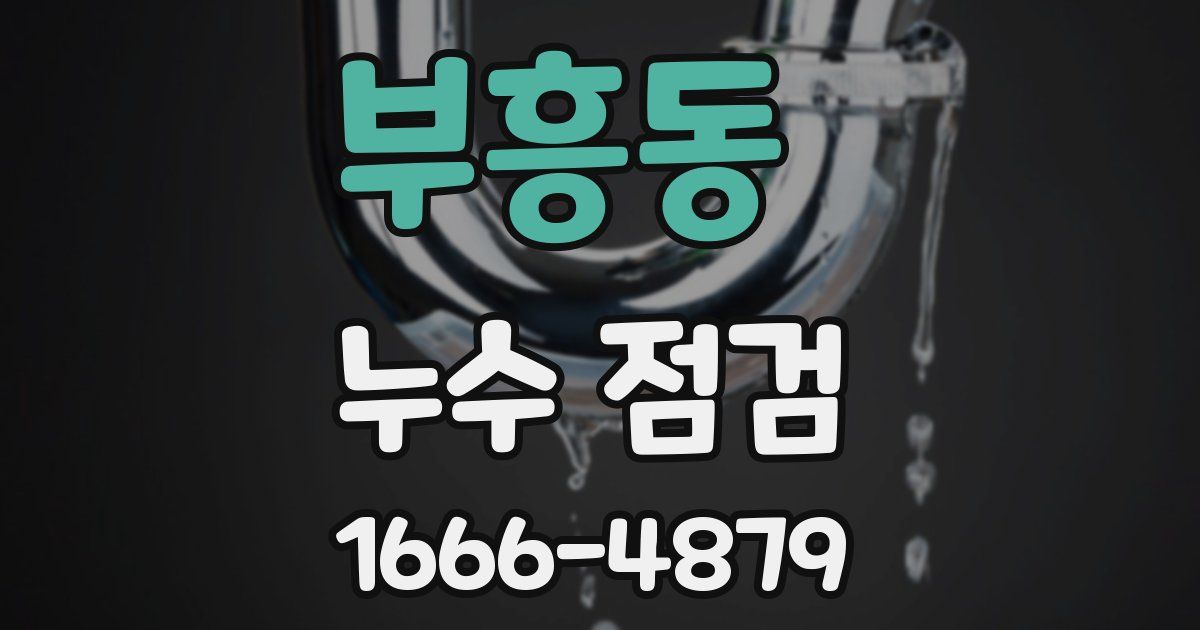 부흥동 누수 점검