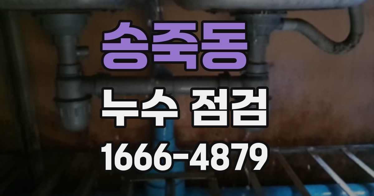 송죽동 누수 점검