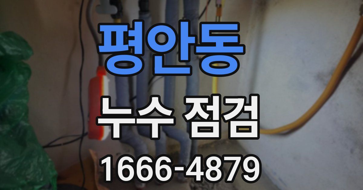 평안동 누수 점검