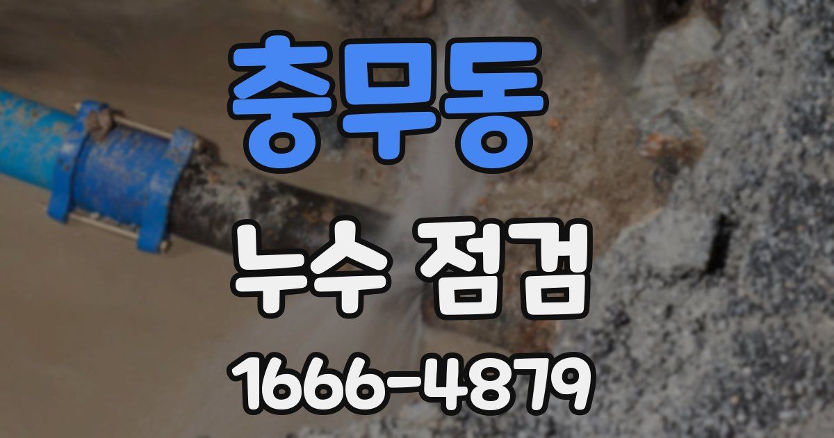 충무동 누수 점검