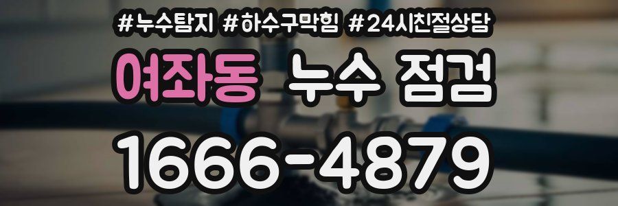 여좌동 누수 점검
