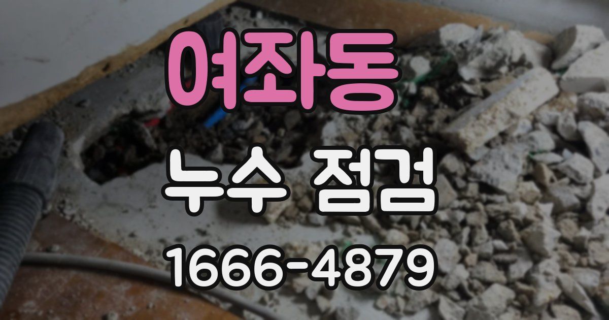 여좌동 누수 점검