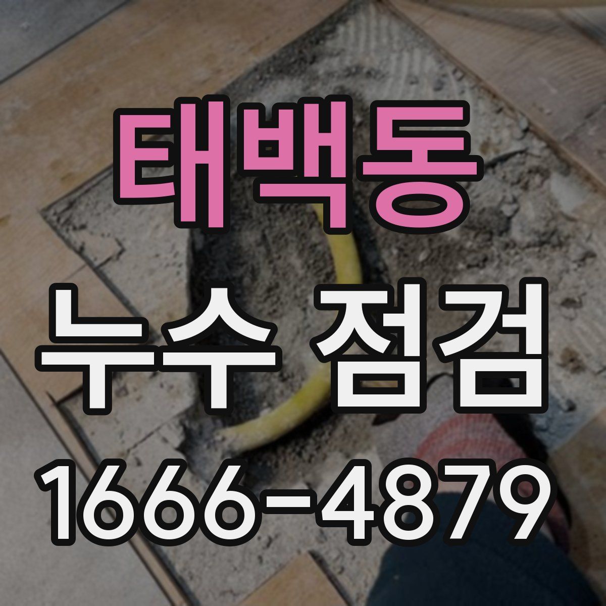 태백동 누수 점검