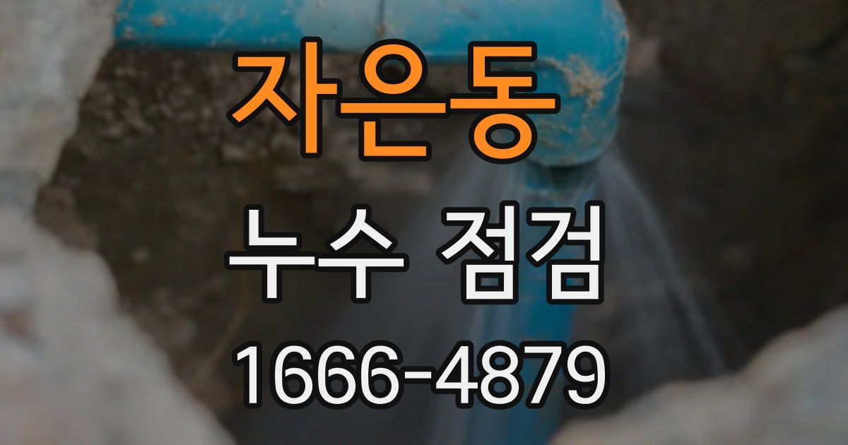자은동 누수 점검