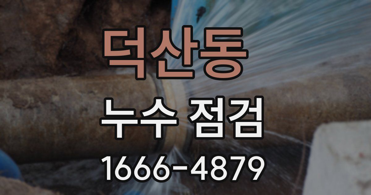 덕산동 누수 점검