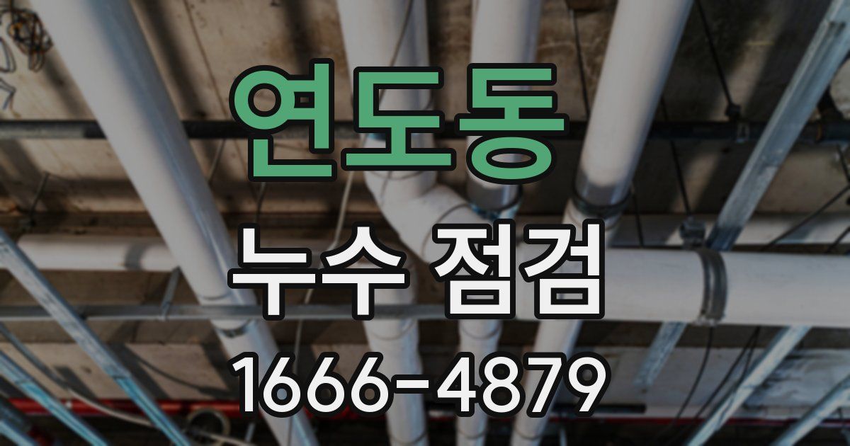연도동 누수 점검
