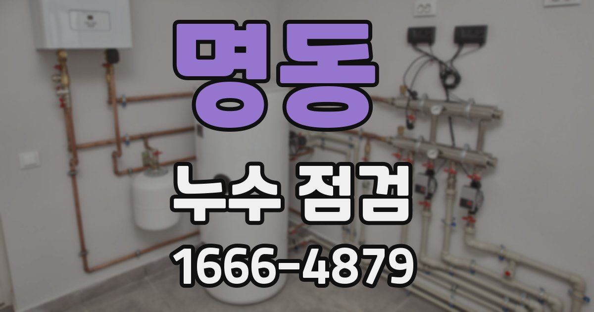 명동 누수 점검