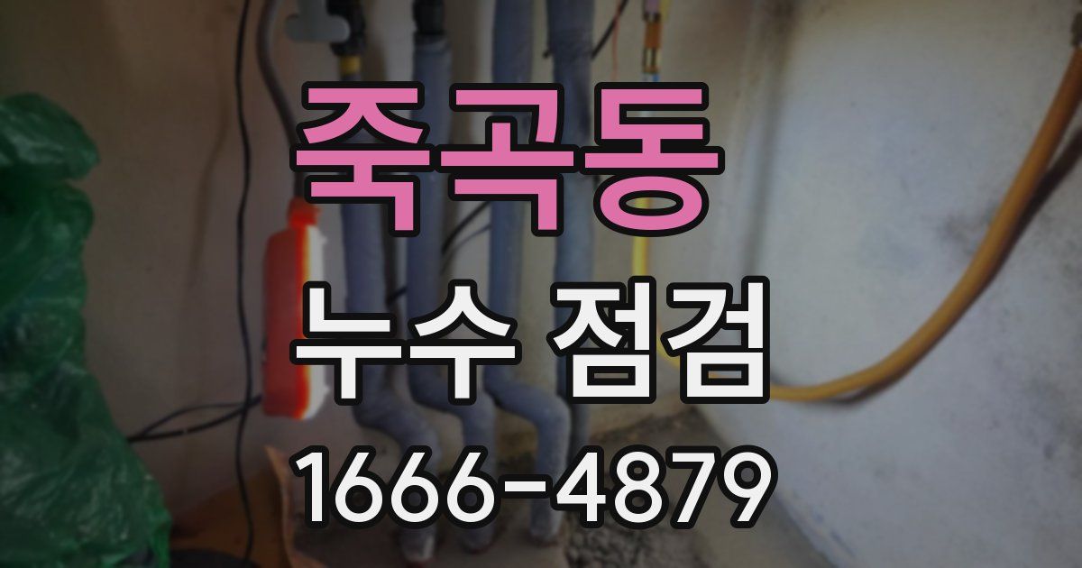 죽곡동 누수 점검