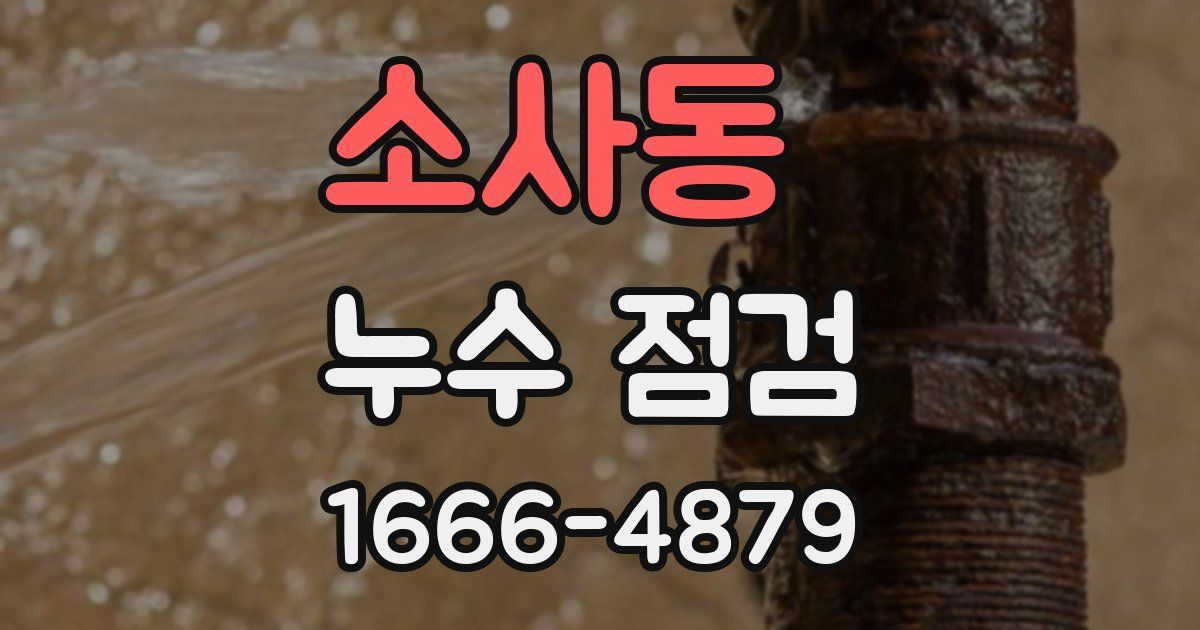 소사동 누수 점검