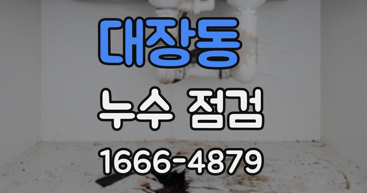 대장동 누수 점검