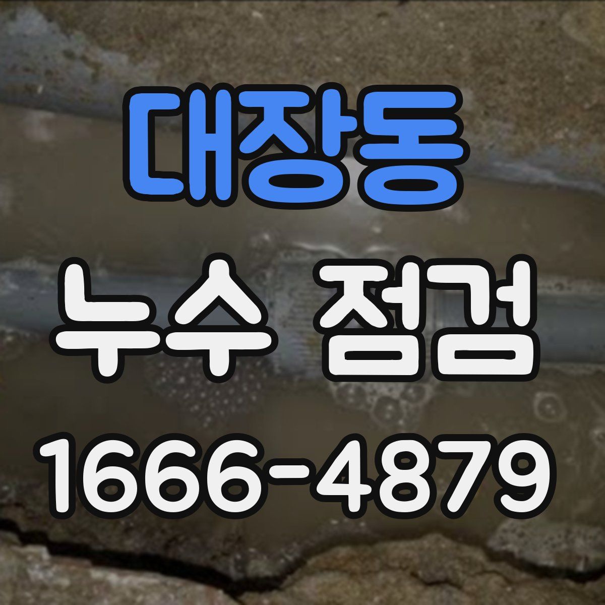 대장동 누수 점검