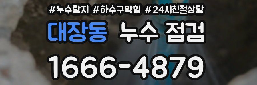 대장동 누수 점검