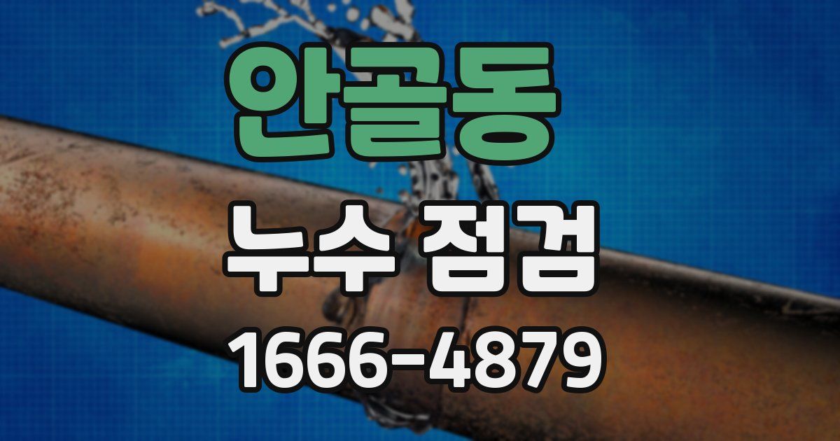 안골동 누수 점검