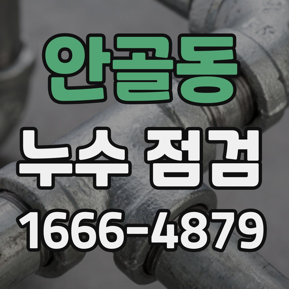 안골동 누수 점검