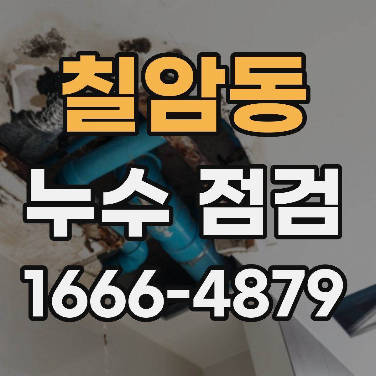 칠암동 누수 점검