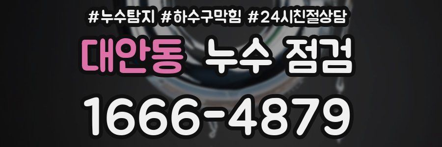 대안동 누수 점검