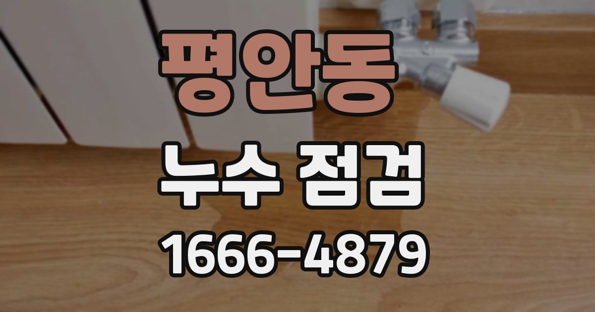평안동 누수 점검