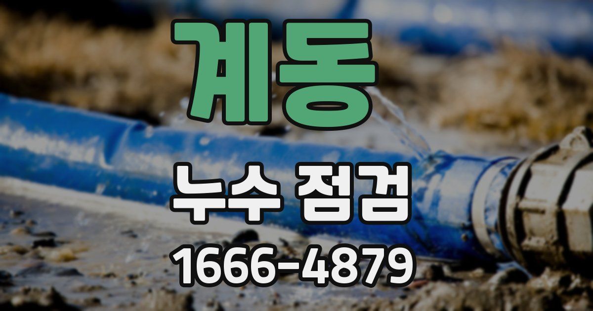 계동 누수 점검