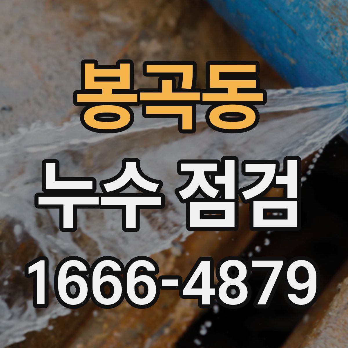 봉곡동 누수 점검