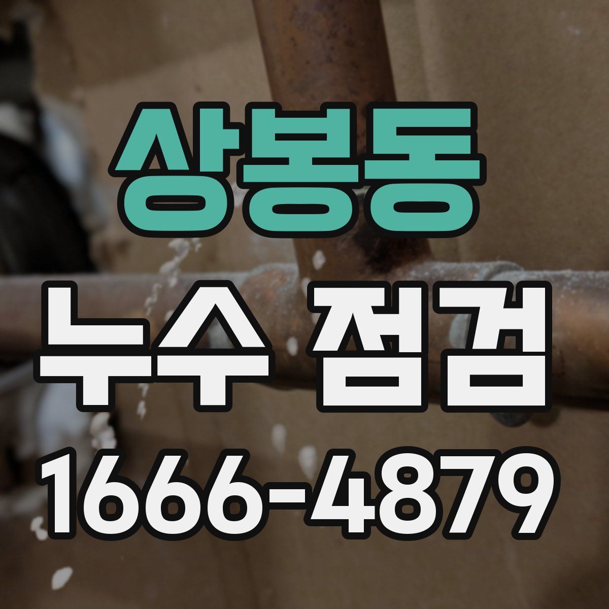 상봉동 누수 점검