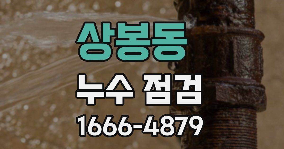 상봉동 누수 점검