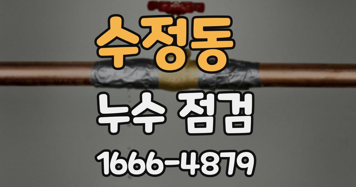수정동 누수 점검