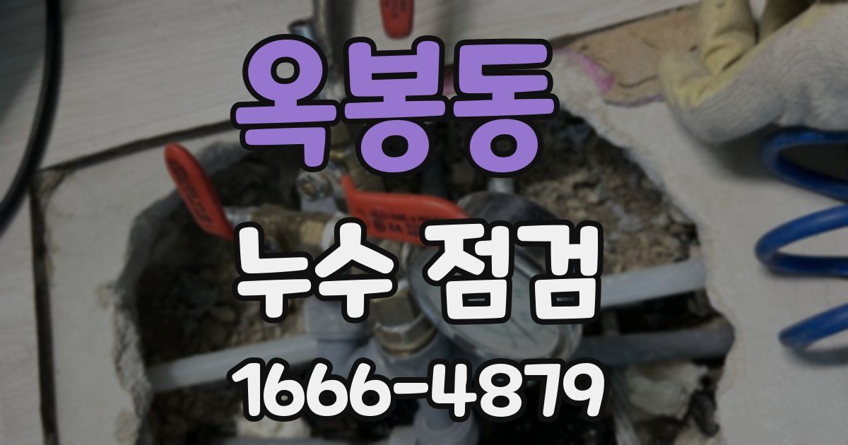옥봉동 누수 점검
