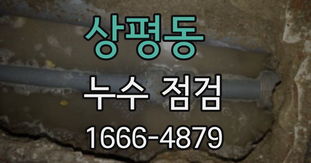 상평동 누수 점검