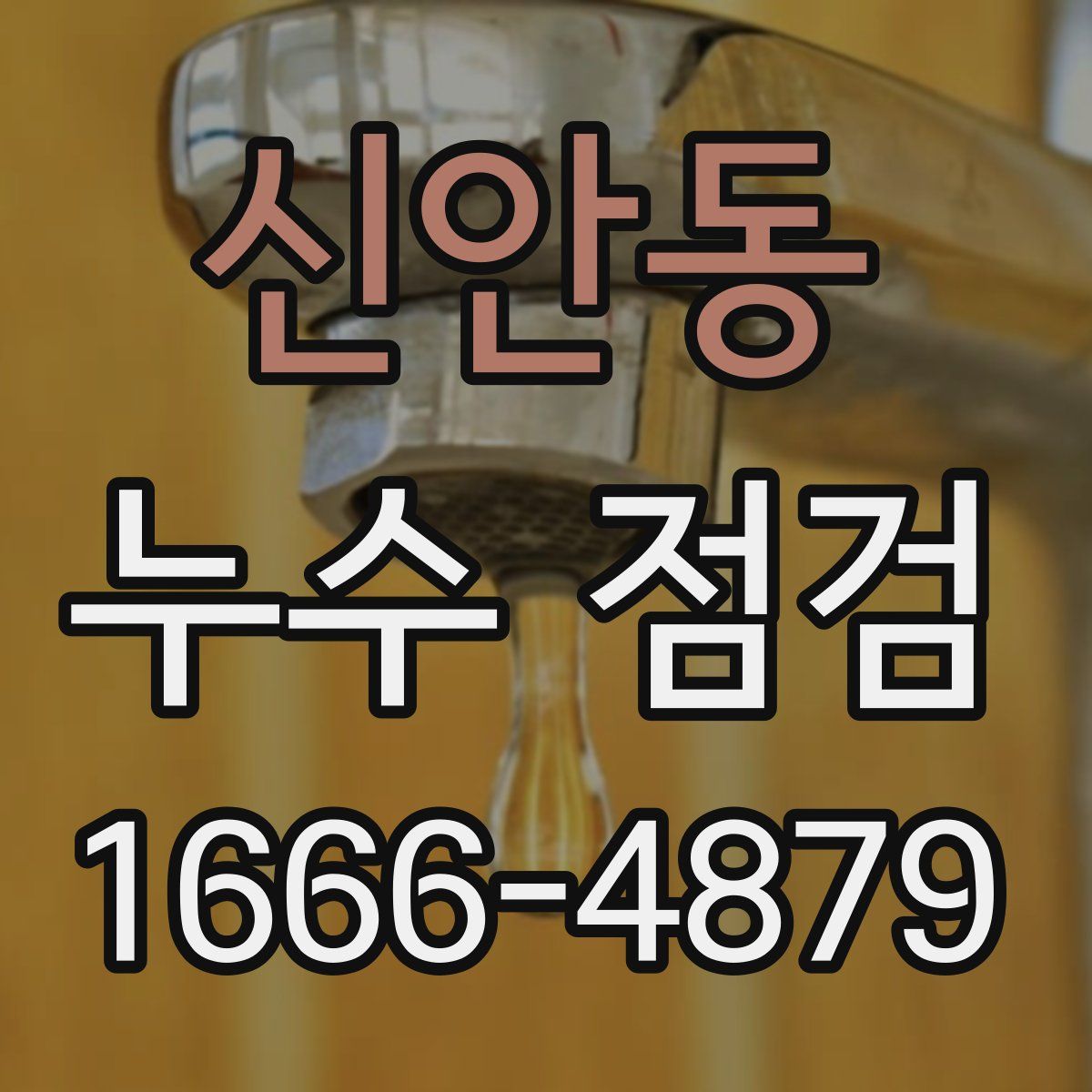 신안동 누수 점검