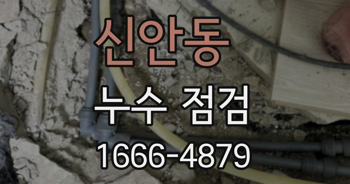 신안동 누수 점검