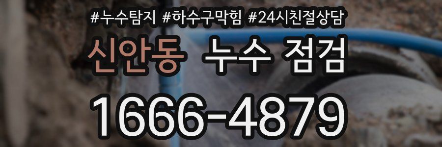 신안동 누수 점검