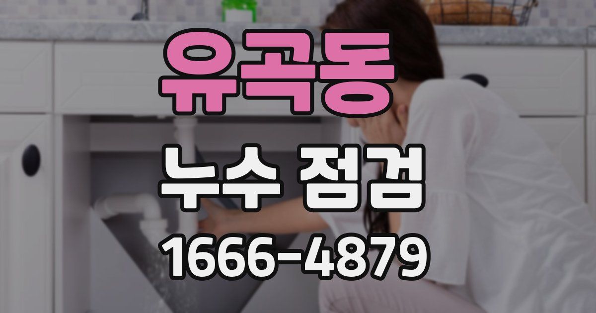 유곡동 누수 점검