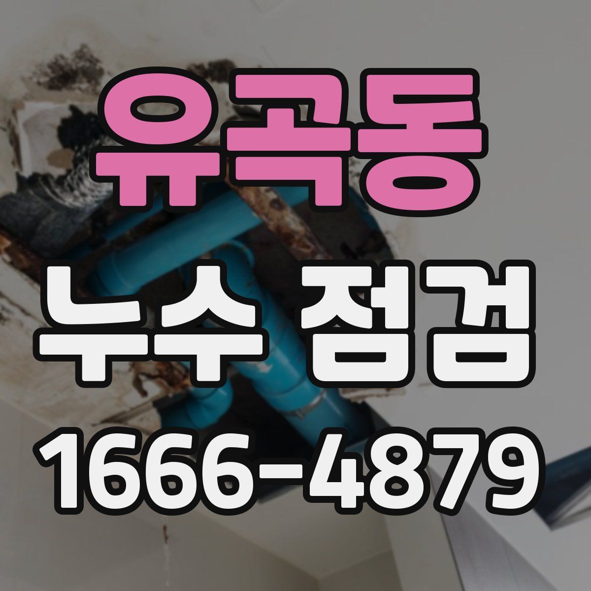 유곡동 누수 점검