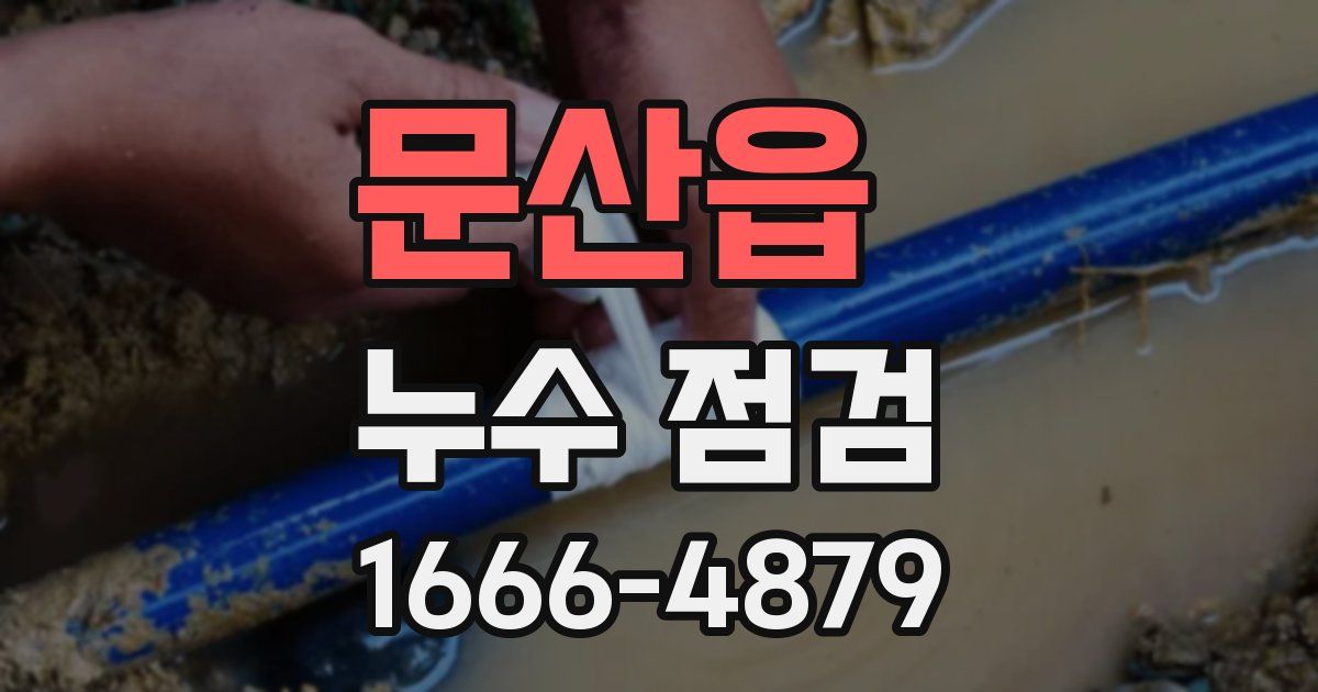 문산읍 누수 점검