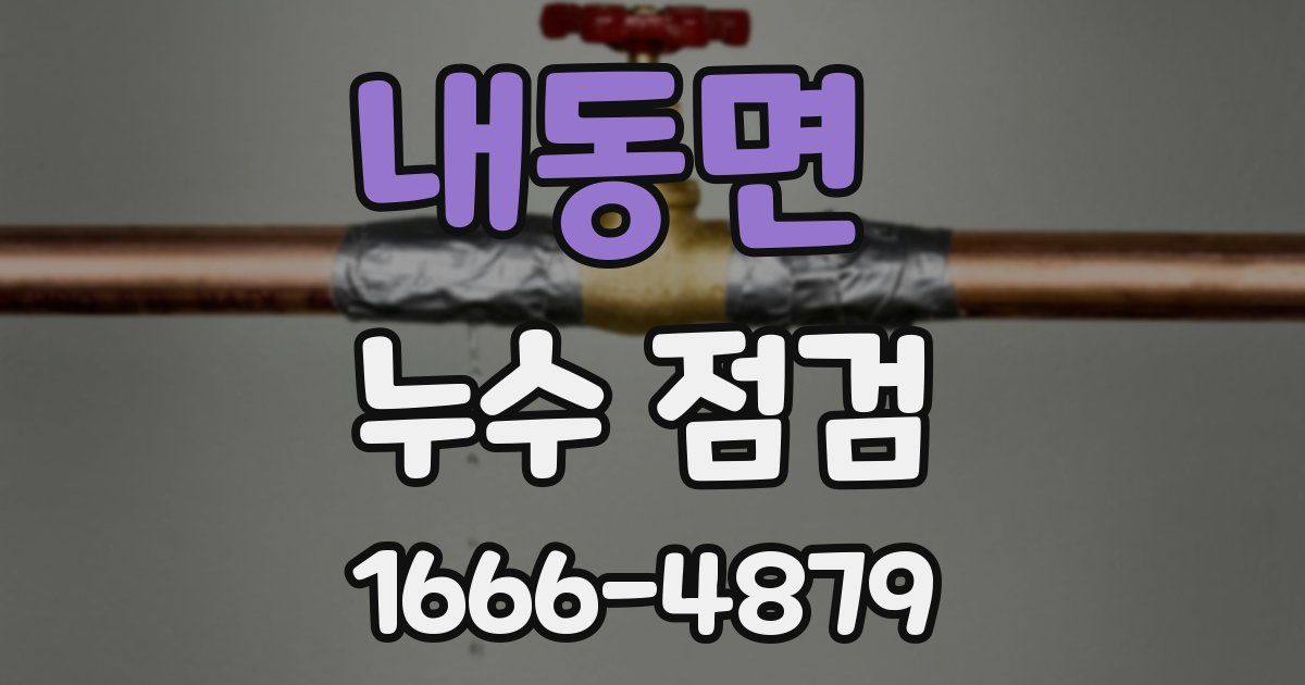 내동면 누수 점검