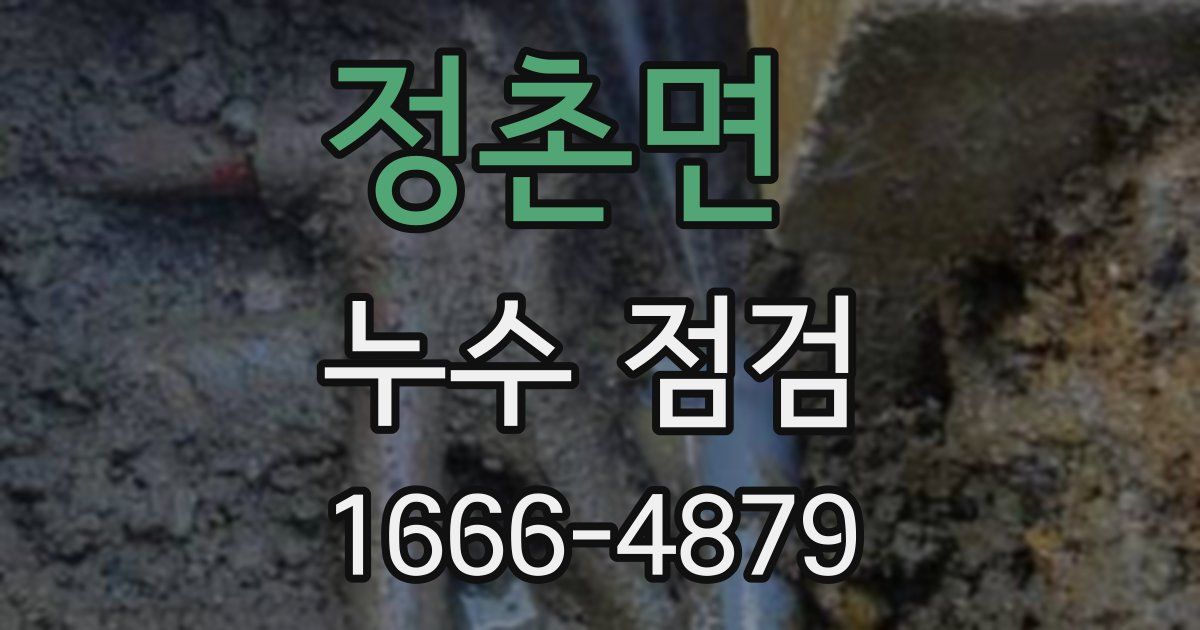 정촌면 누수 점검