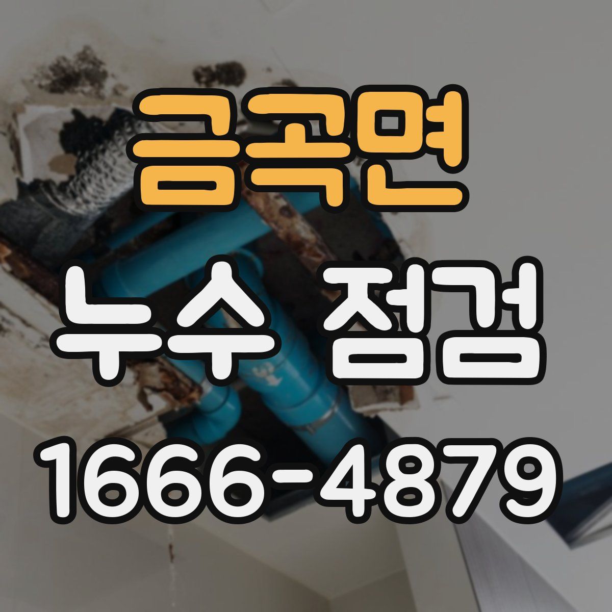 금곡면 누수 점검